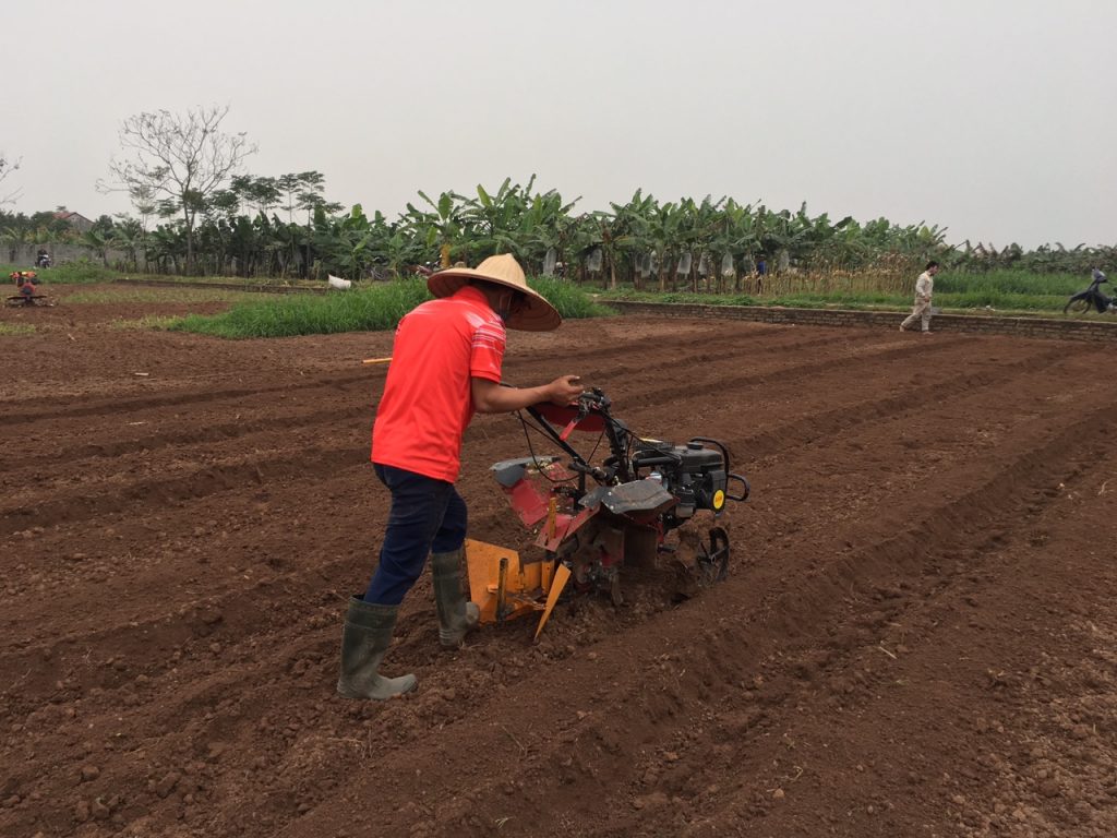 Hướng dẫn kỹ thuật làm đất trồng thanh long