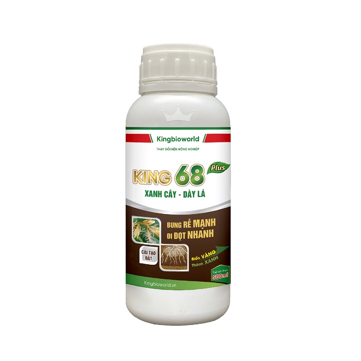 King 68 plus - Bung rễ mạnh - Đi đọt nhanh